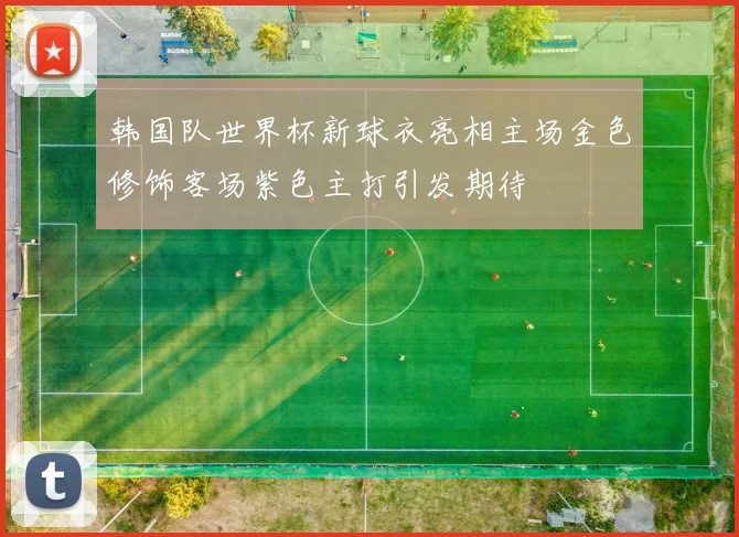 韩国队世界杯新球衣亮相主场金色修饰客场紫色主打引发期待
