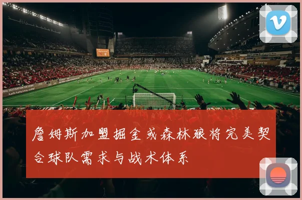 詹姆斯加盟掘金或森林狼将完美契合球队需求与战术体系